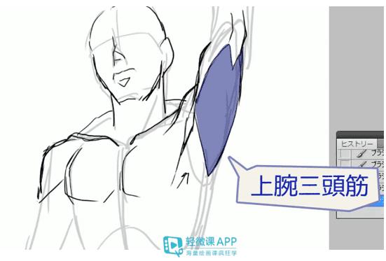如何绘画肌肉?男生肌肉画法教程