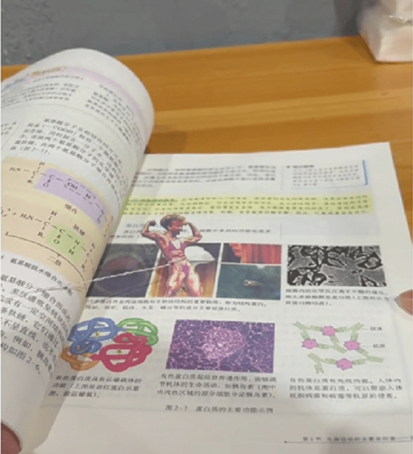 张国伟所学的生物书中就有蛋白质女王的插图,这张插图被很多男同学玩
