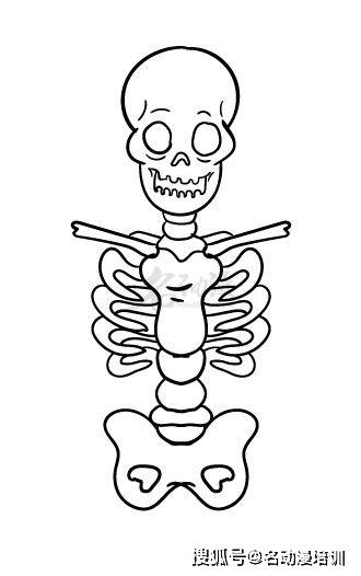 人物人体的骨架怎么绘画?