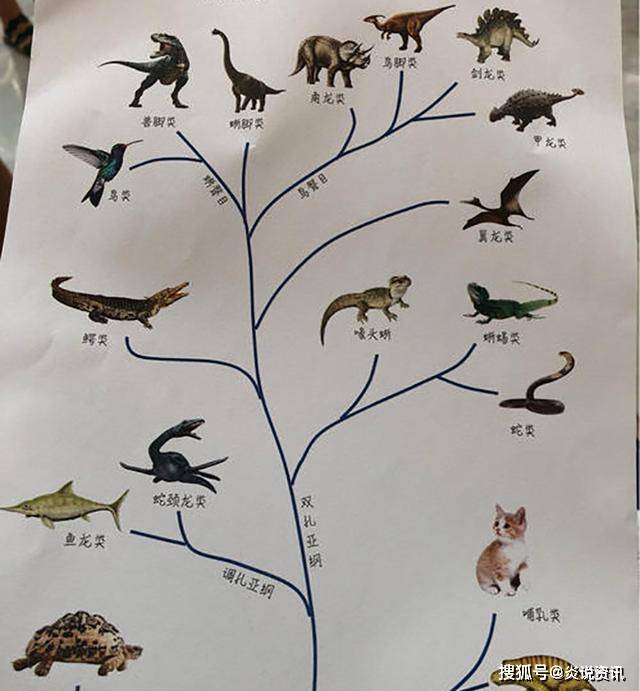 哺乳动物的进化一直和恐龙的进化同时存在,甚至长期作为恐龙食物而