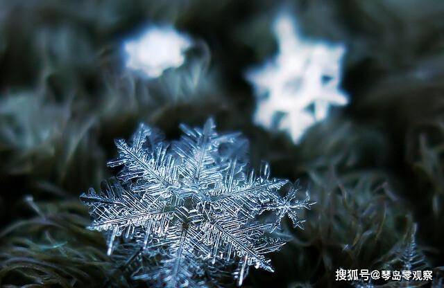 真的没有两片一模一样的雪花吗 结晶 冰晶 温度