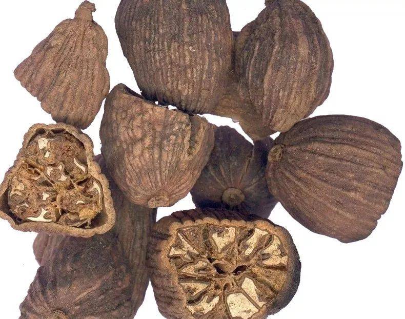 吃了加罂粟壳的牛肉汤,真的会让人上瘾吗?_食物_鸦片_一定的