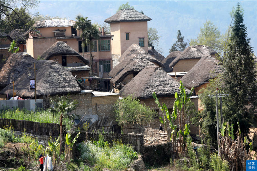 村里|云南元阳梯田中的美丽阿者科古村落，游客称之为“云上梯田人家”