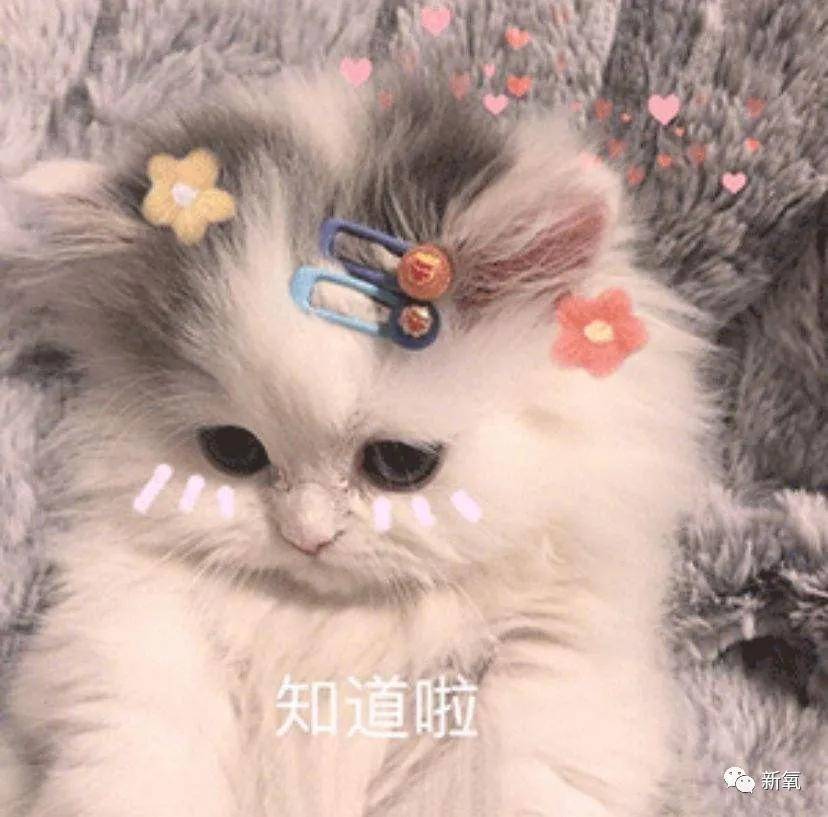 对比鼻基底对面部的影响有多大?