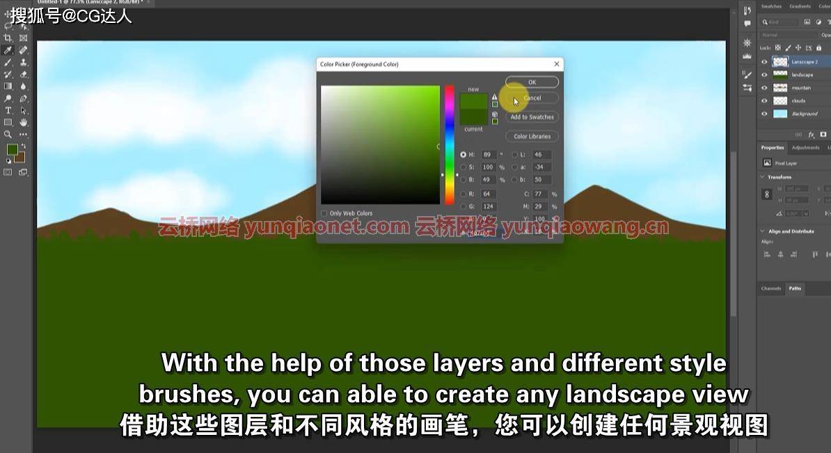 从头开始学习adobe photoshop cc图像编辑_工具_课程_图层