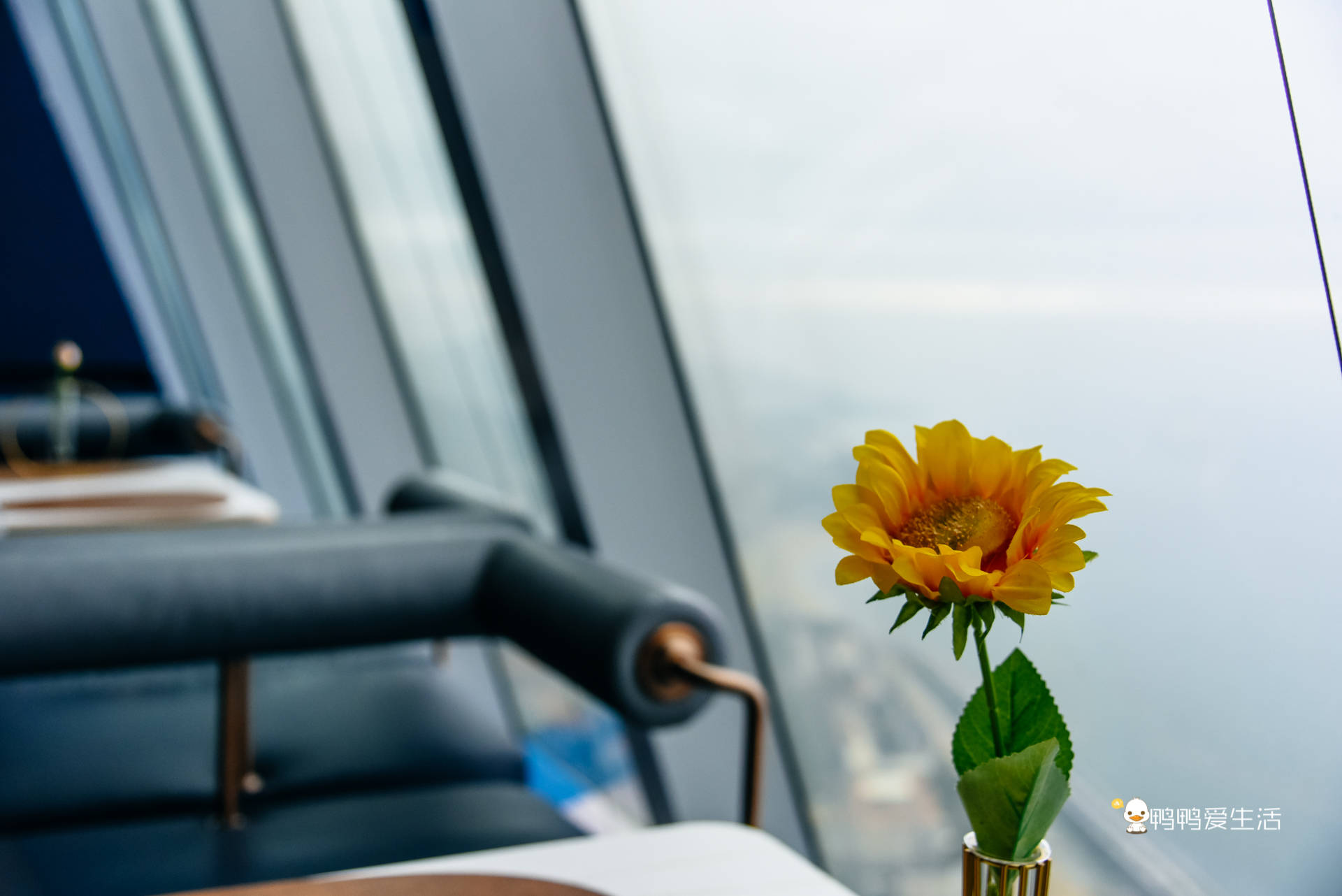 游客|厦门网红地标，300米高空俯瞰鹭岛惊险又浪漫！情人节约会好去处