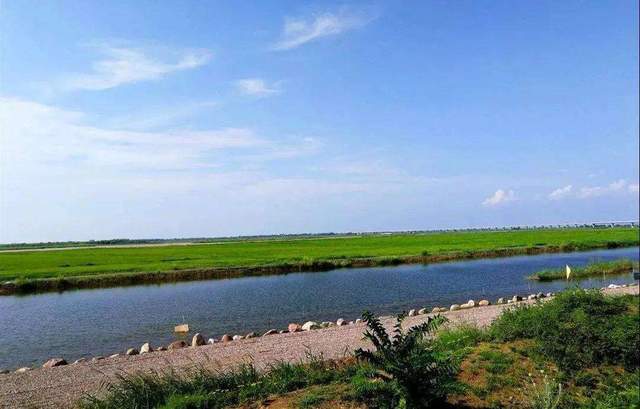 文化|宁夏为什么要打造“葡萄酒+文化+旅游”观光带