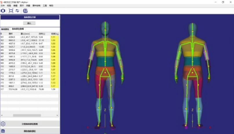 分区,体积计算,体表面积计算,重心计算,关节 和骨架模拟仿真,人体动作