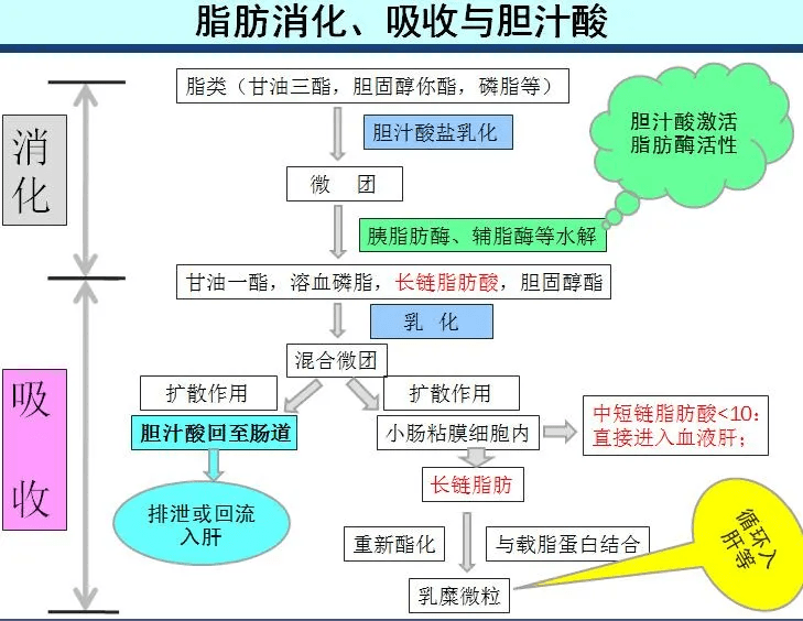 龙昌品牌蛋 | 减少鸡蛋的容貌焦虑