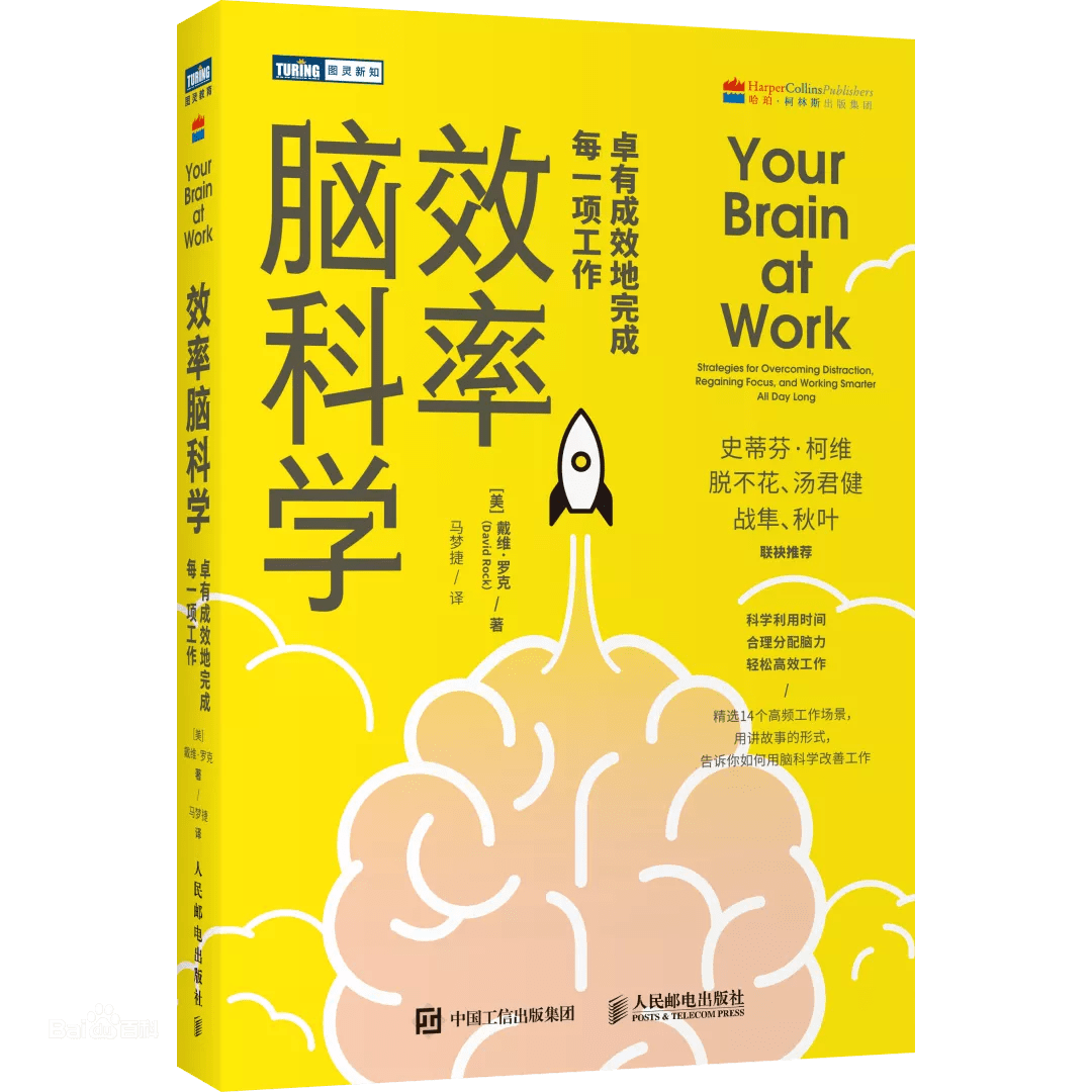 效率脑科学了解大脑运行规律助力我们做出最佳决策