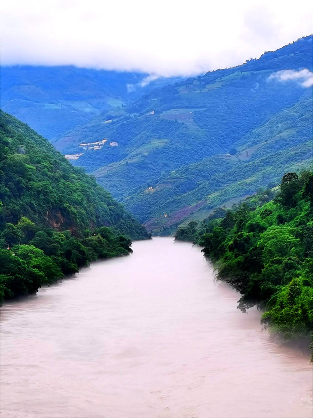 视频世界近危物种高山兀鹫现身云南龙陵