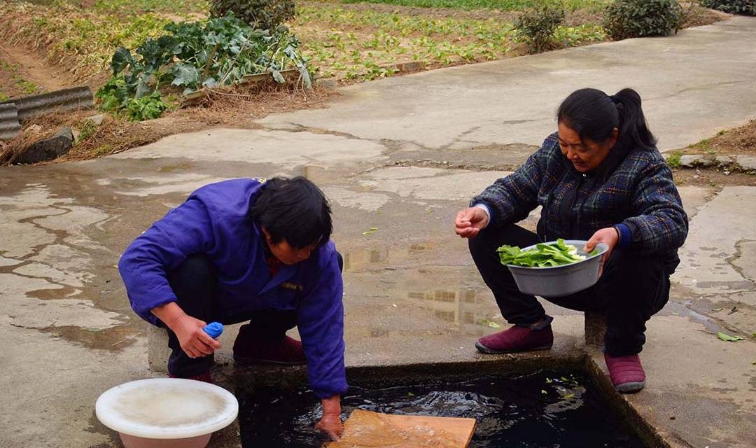 原创村民在井边建水池，1天100多人洗米洗菜洗拖把，看为啥“不脏”