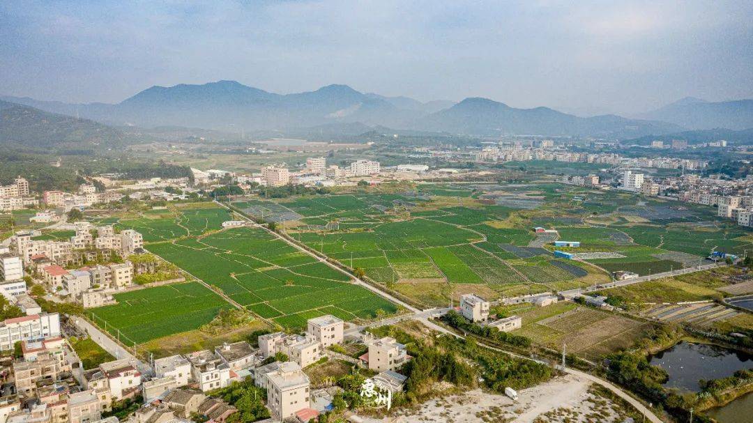 具有特色的海港风情村庄惠东61大墩村