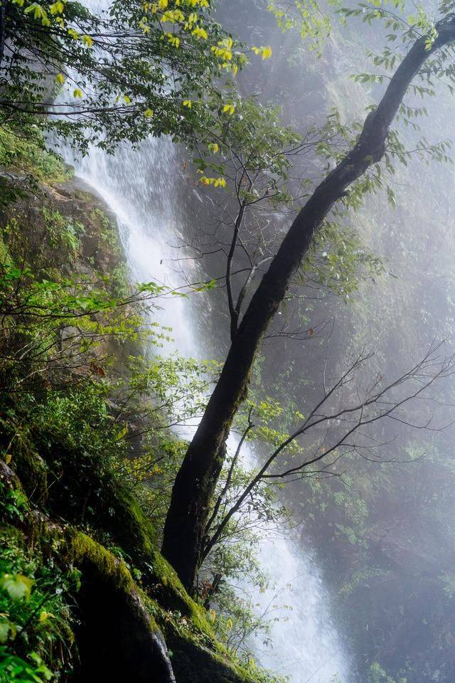 不负春光快来江西这个仙境地遇见超美花海
