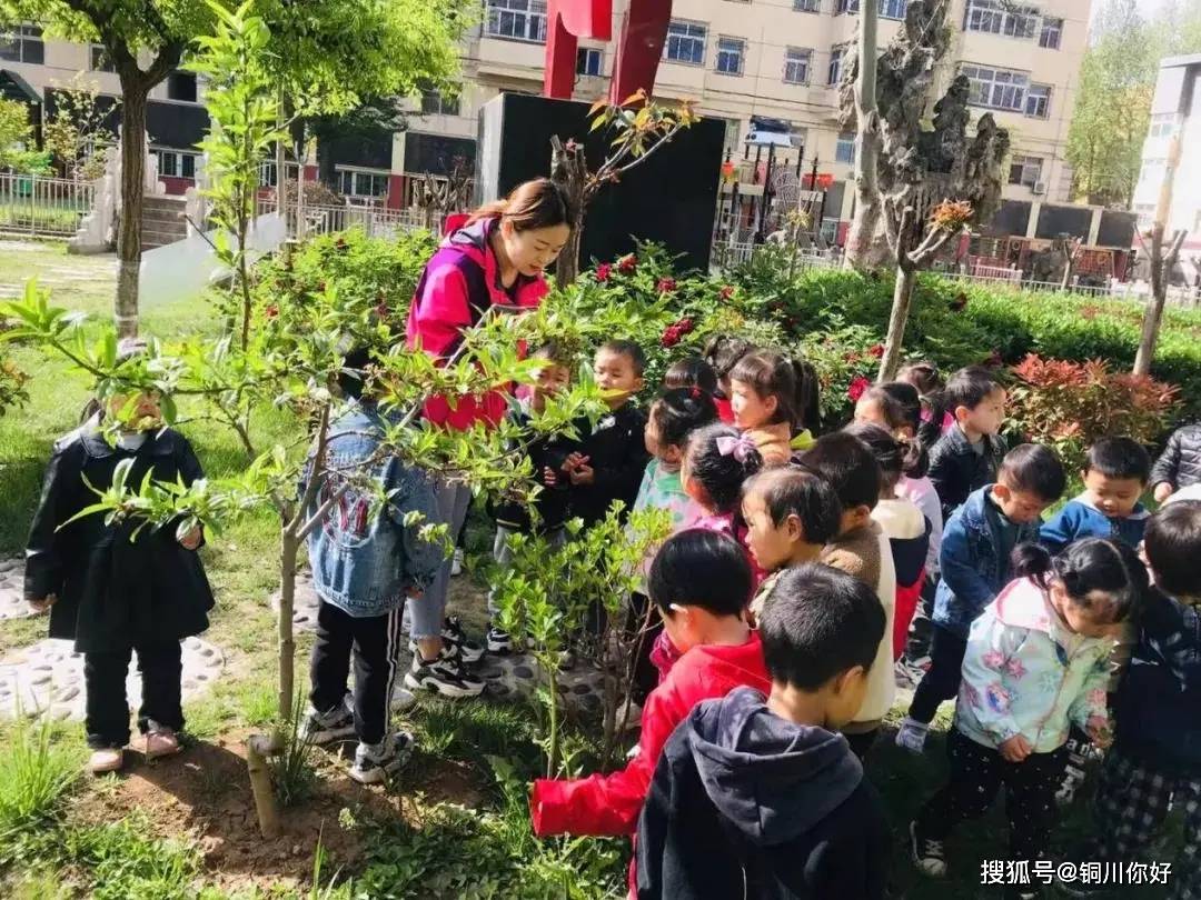 单位|青年路幼儿园被评为市级庭院绿化先进单位