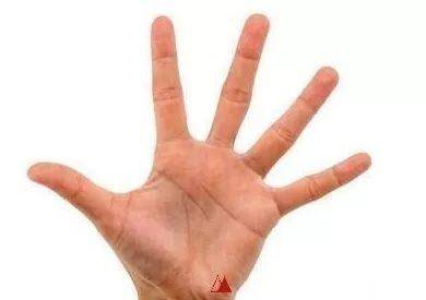 手带金灵 必爆发 的发大财手相 子目 灵感 三角形纹 太阳信息网 手带金灵 必爆发 的发大财手相 子目 灵感 三角形纹 太阳信息网