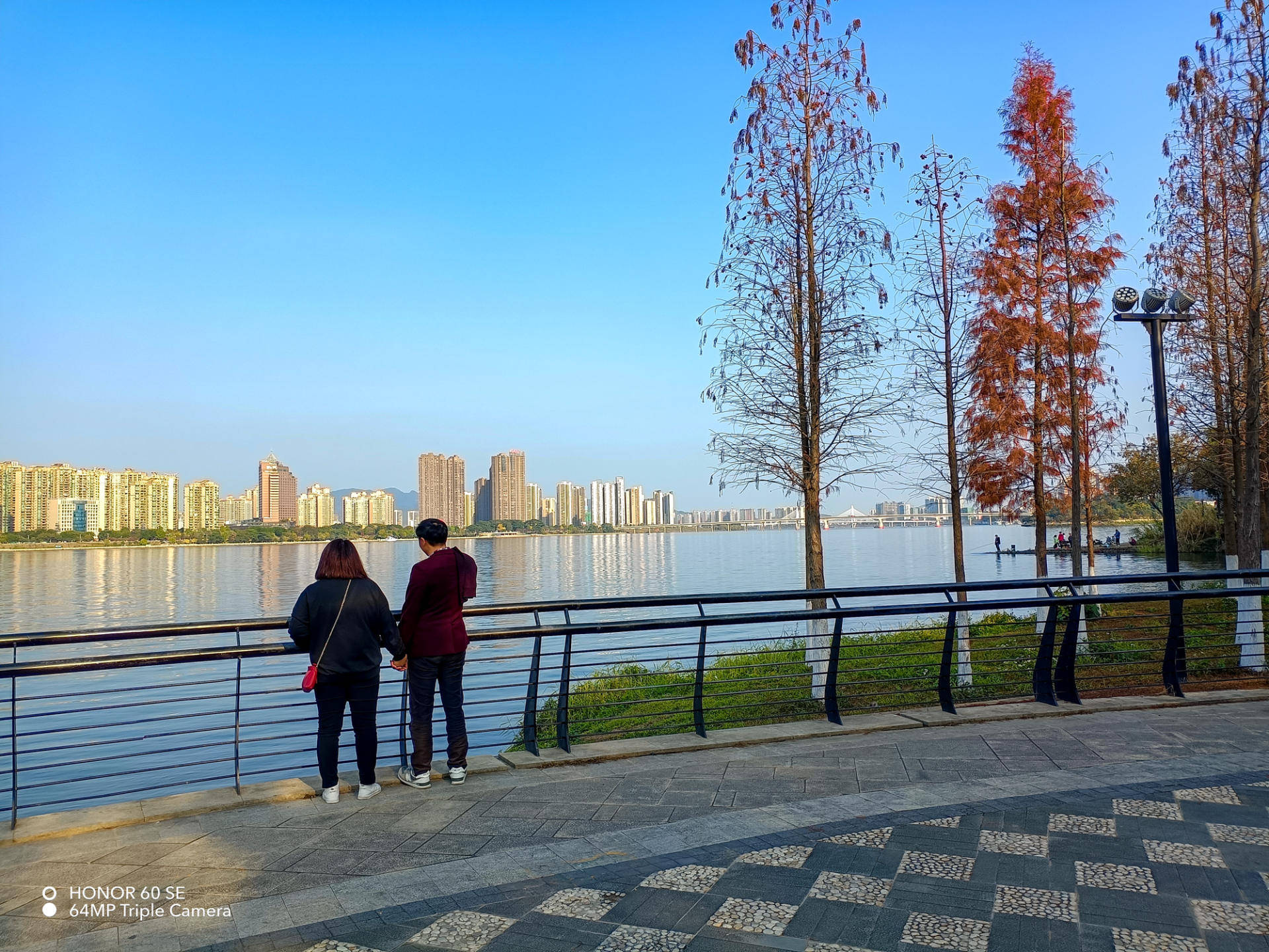 2000元的机，5000元的屏？荣耀60 SE轻体验