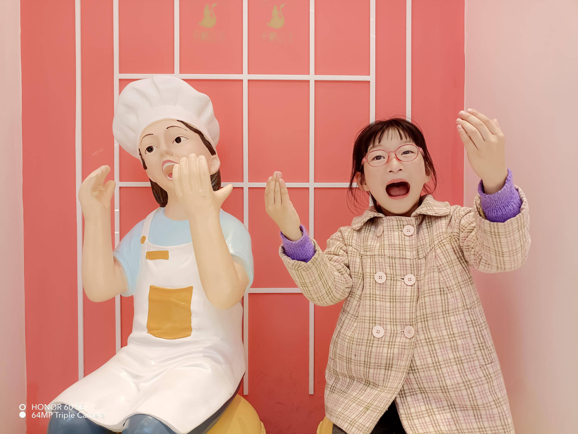 2000元的机，5000元的屏？荣耀60 SE轻体验