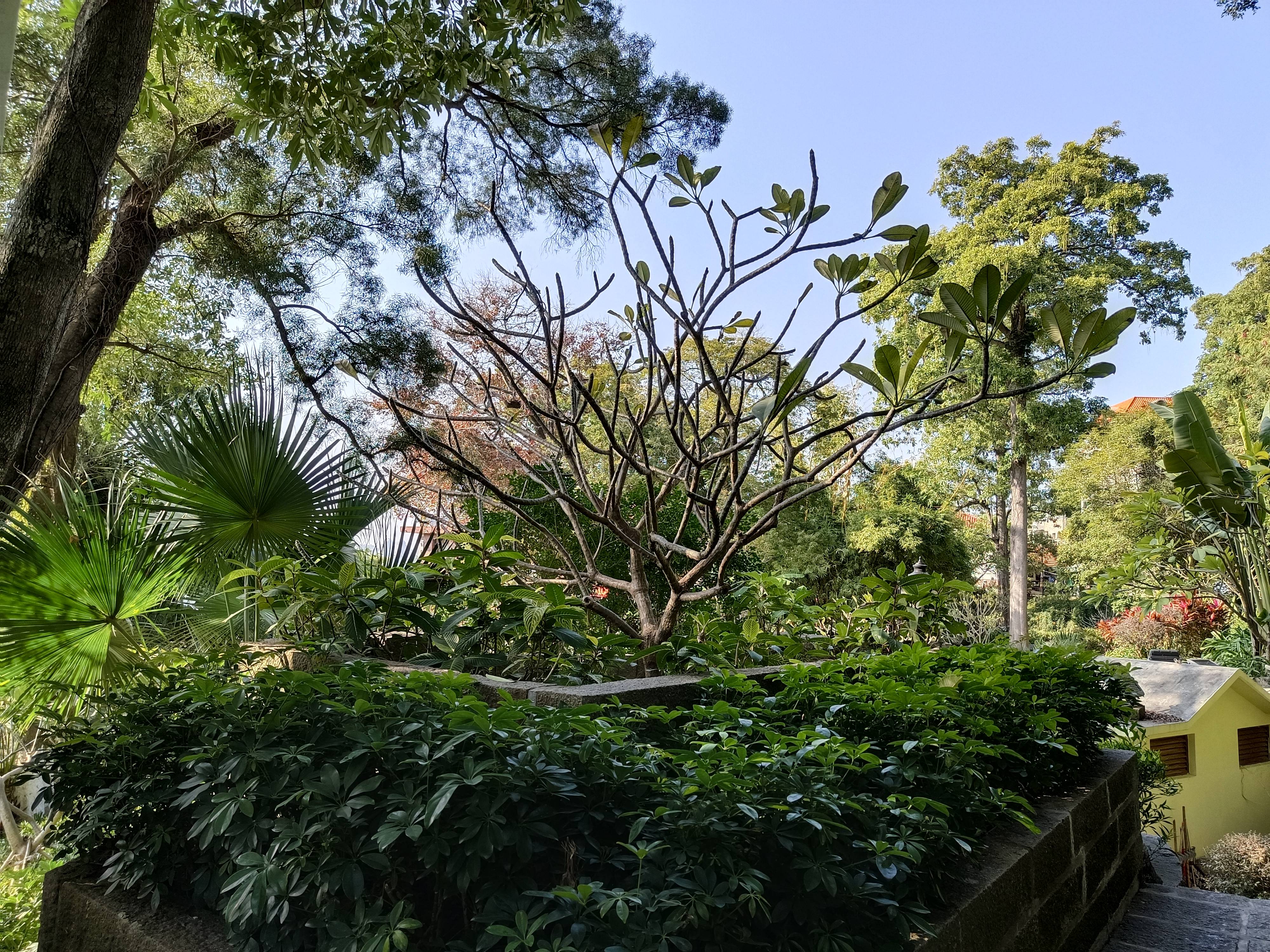 山洞|鼓浪屿笔山洞上的不知名小公园，满眼皆是百年老榕，直通月光岩！