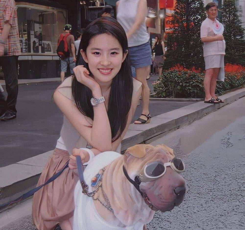 bug 阿娇的腿,杨幂的鼻子,刘亦菲的肩膀,说说女星的长相短板