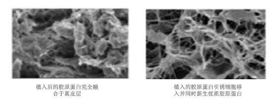 因为谁能想到这种绝美恶女颜背后,是个傻白甜啊