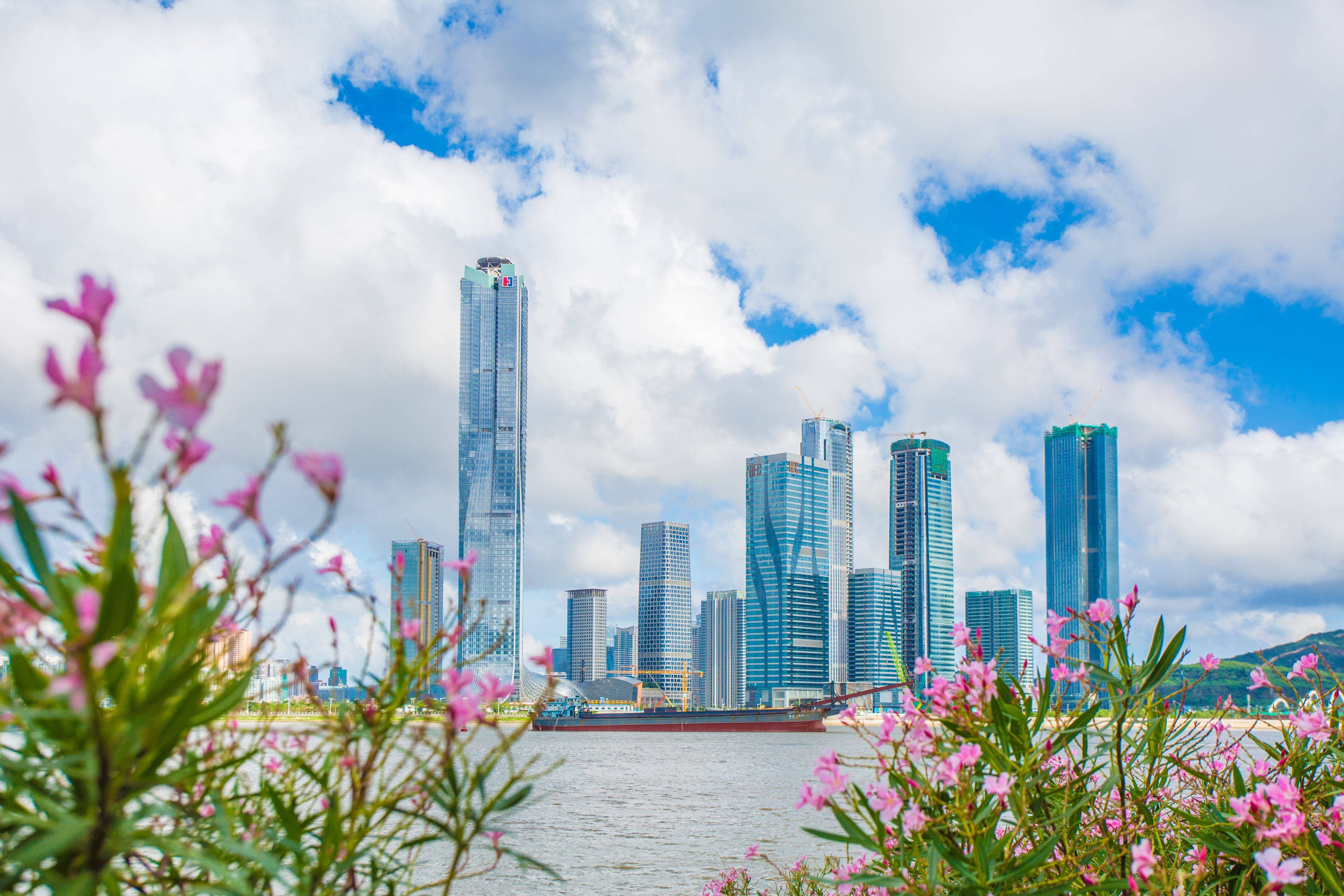 横琴金融岛有哪些看点金融岛的发展前景如何