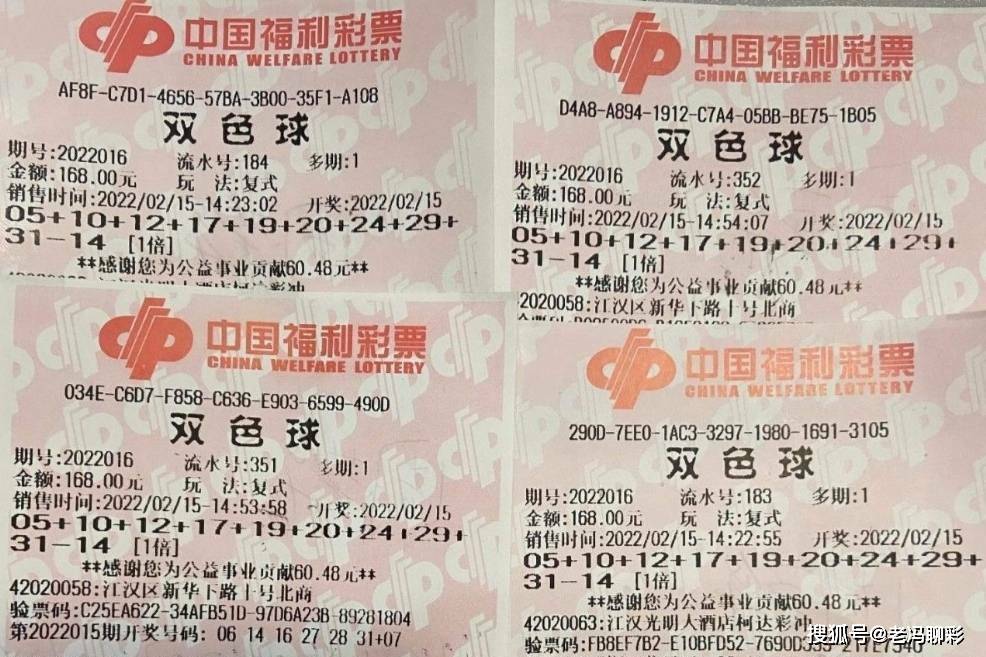 四张9+1复式票,武汉彩民喜中双色球016期,一等奖大奖2500万_李先生_彩票_号码