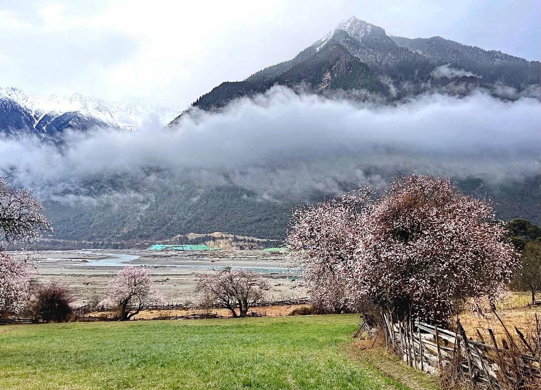 地方|西藏自驾：三月林芝看桃花，时间充裕可以这样走（2）