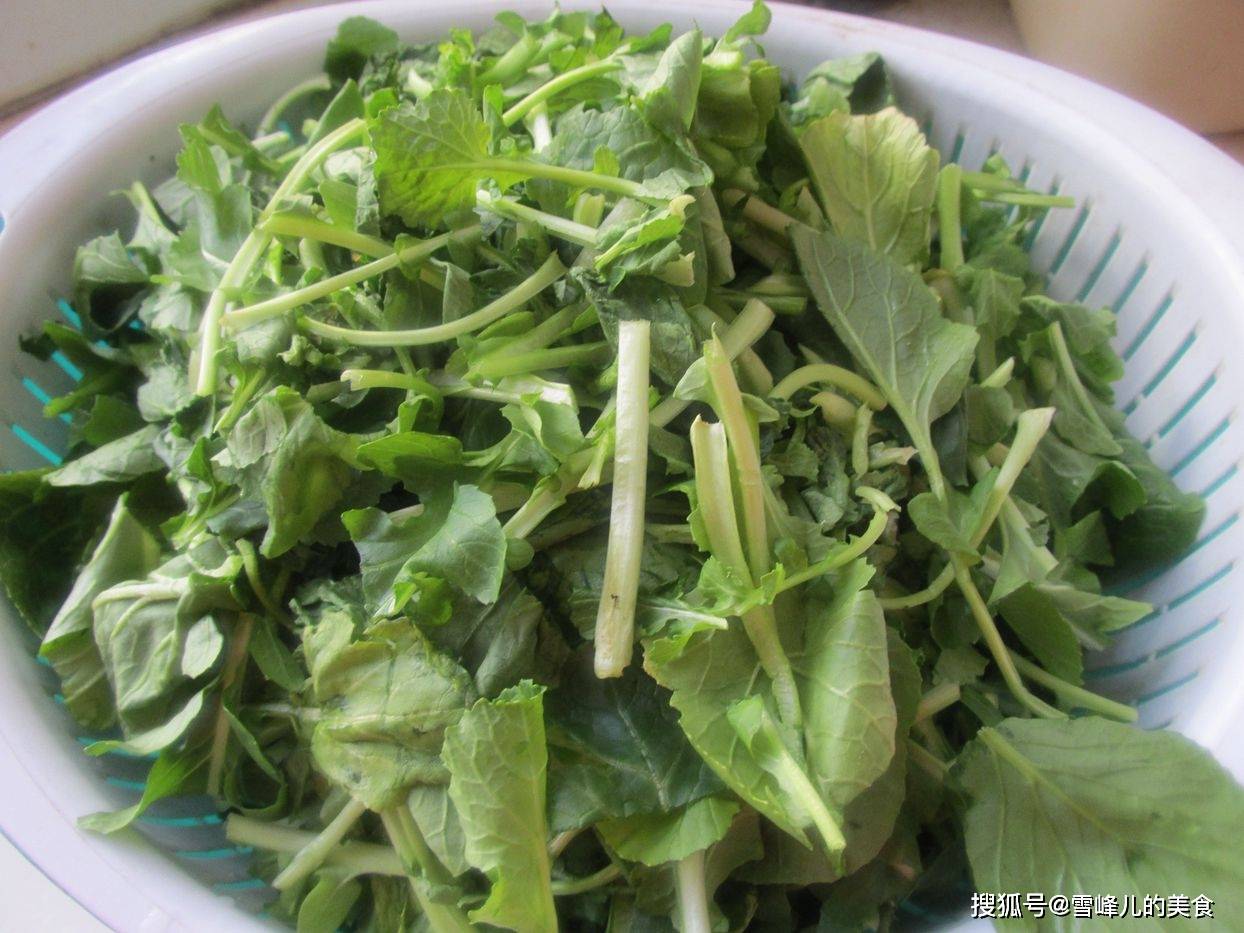 蔬菜|这菜是“菜中珍品”简单炒一炒就上桌，清理肠胃排出毒素，春天别错过