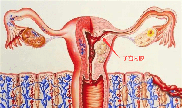 b91d173f38654d62963a82759c715551.png
