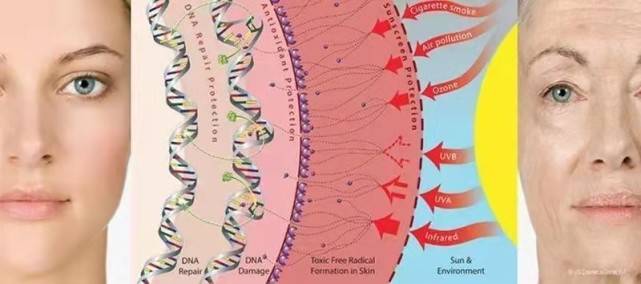 玛吉热玛吉保持时间是多久，热玛吉不做以后会老得更快吗