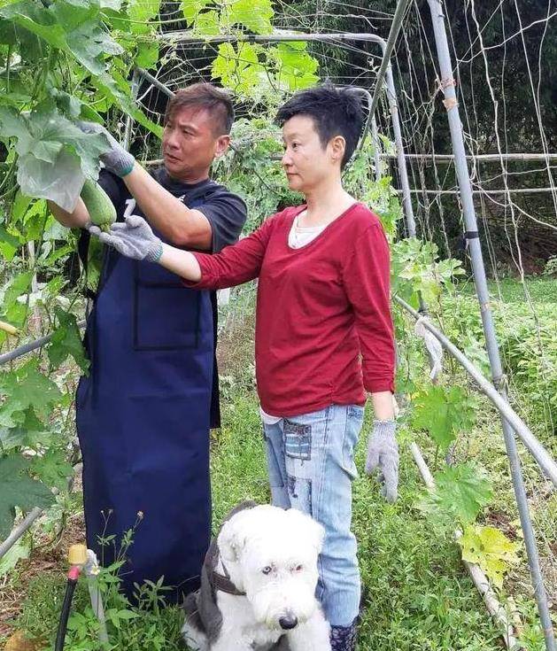 叛逆|“隐形富豪”张世：曾出演“赵高”走红，今54岁为妻子买地种菜