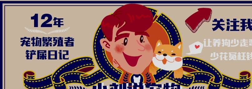 法斗幼犬怎么看品相好
