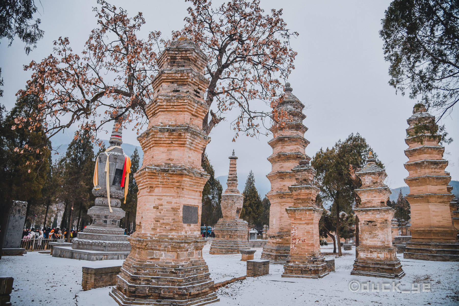 三皇|少林寺免票啦！千年古寺、绝美三皇寨、功夫表演，趁现在来看看！