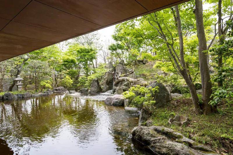 直呼过瘾枡野俊明53个作品一次看个够