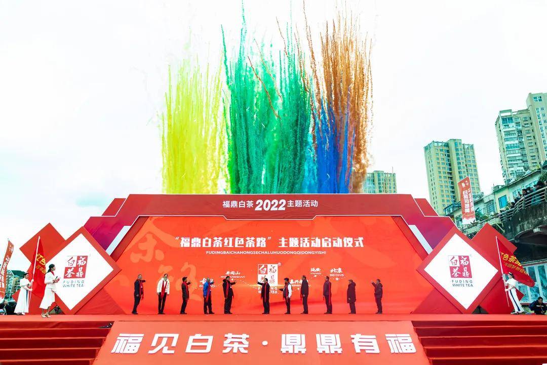 活动|2022“白茶庆冬奥,一起向未来”福鼎白茶主题活动顺利举行!