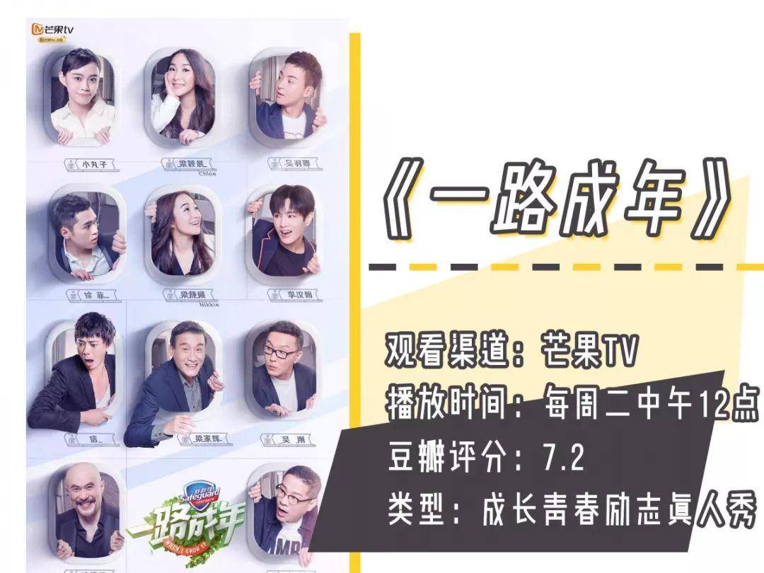 什么救命！这9部神仙综艺，太太太太太让人上头！