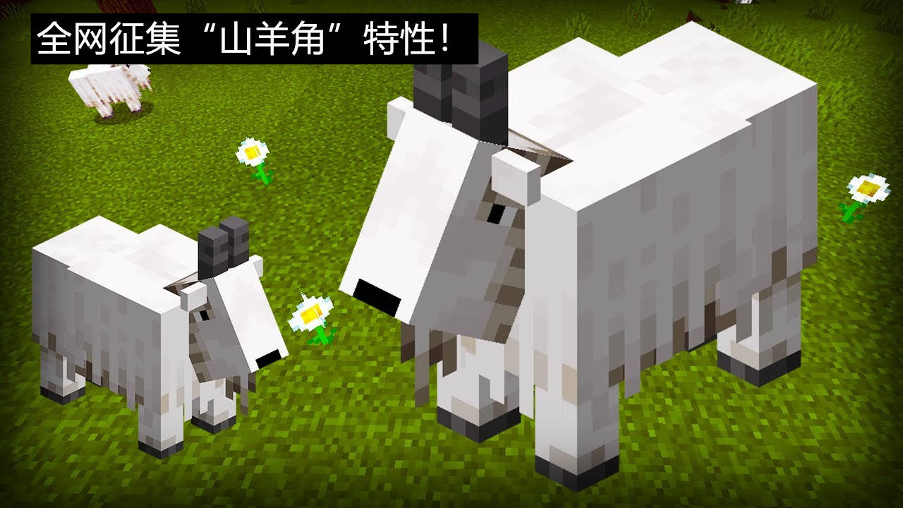 Mojang全网征集 山羊角 特性 召唤驯服生物 还能迷惑猎迹者 号角 村民 玩家
