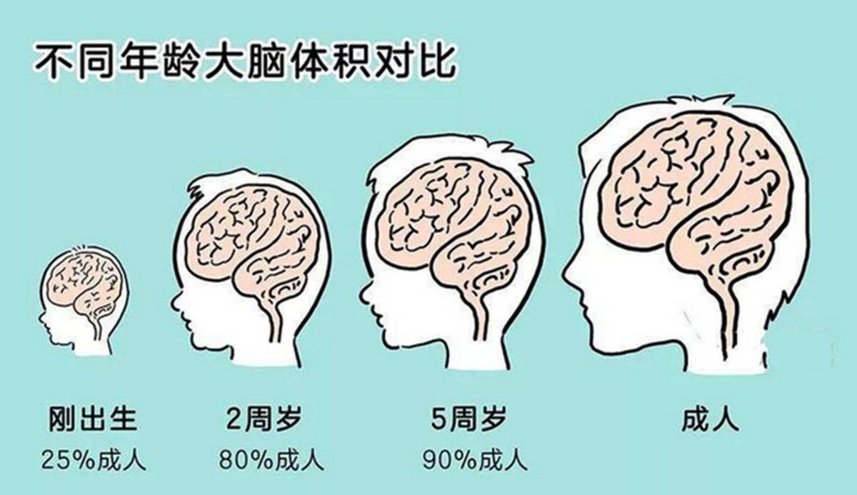 麻省理工研究证实话痨妈妈是开发孩子大脑成本最低的方式