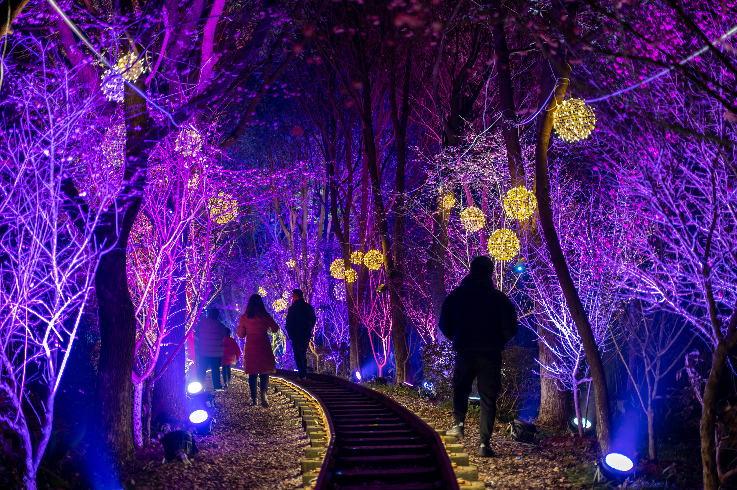 年味|南京赏梅不只有梅花山，溧水傅家边也不要错过，尤其是“夜梅”