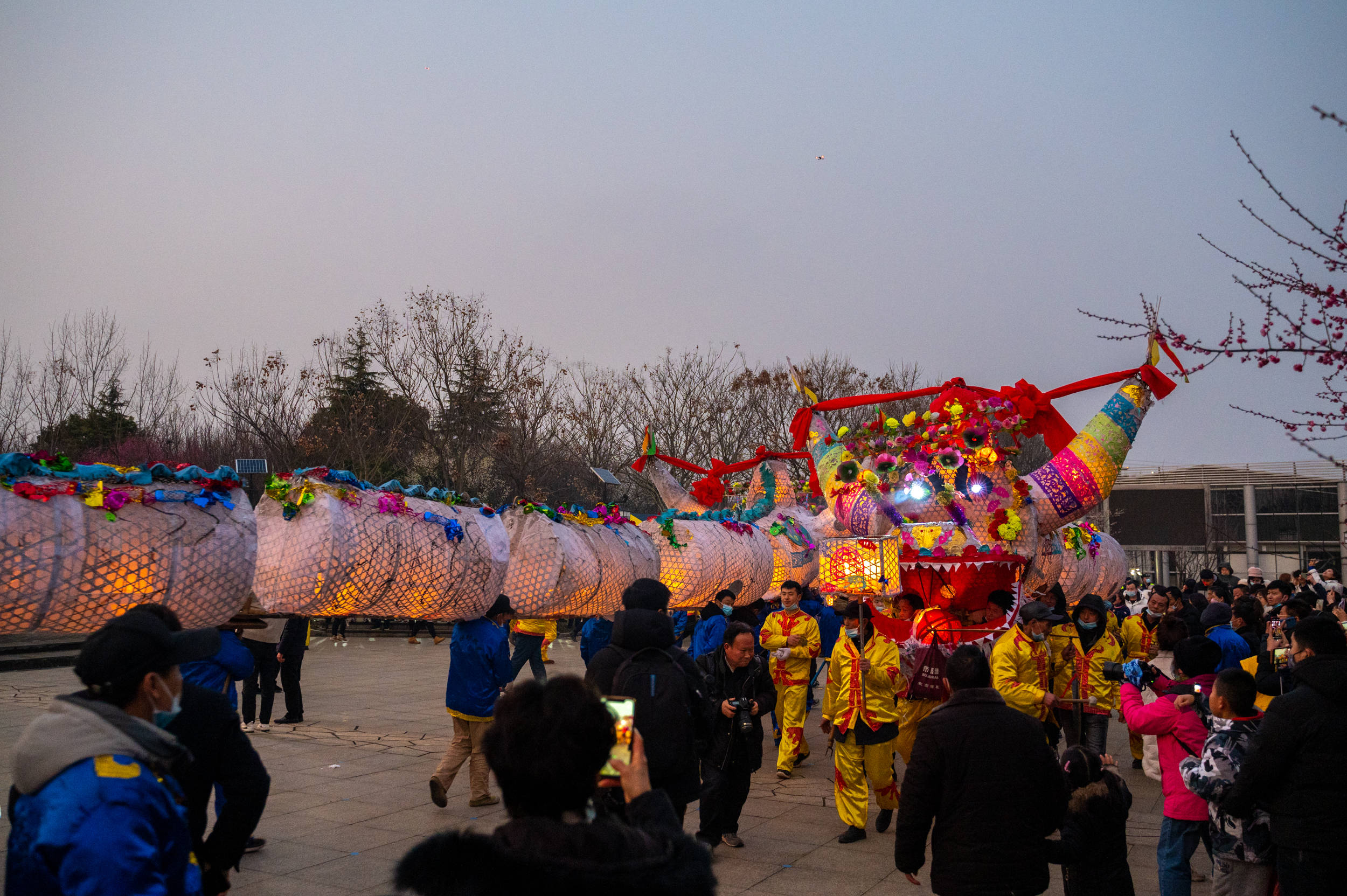 年味|南京赏梅不只有梅花山，溧水傅家边也不要错过，尤其是“夜梅”