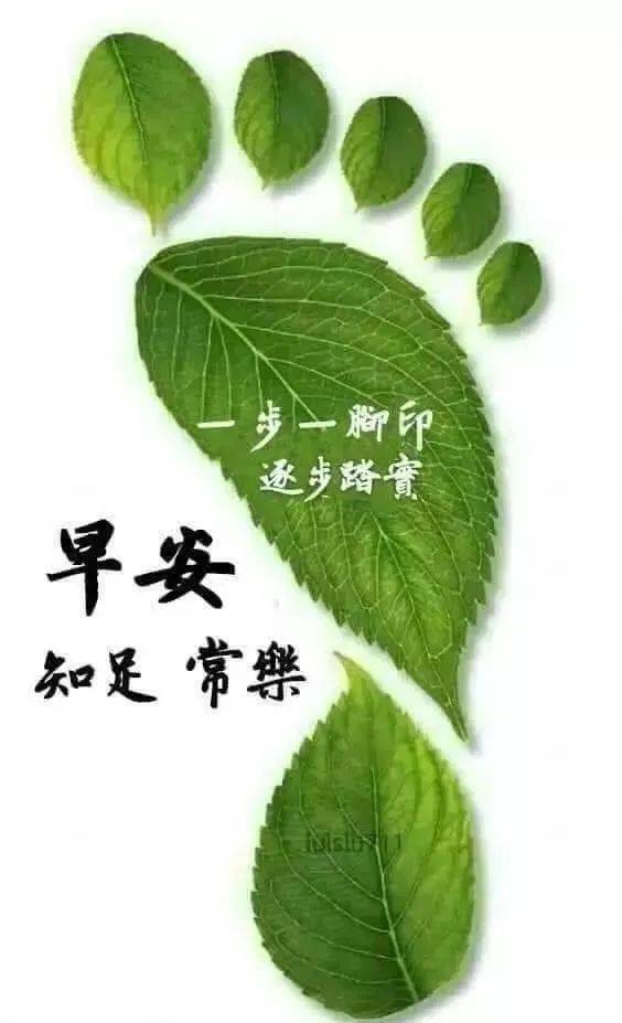 原創8張創意好看的清晨早上好祝福圖片2022最新免打字聊天問候祝福語