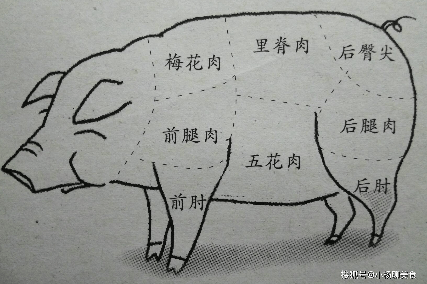 腰梅肉在猪的哪里图片