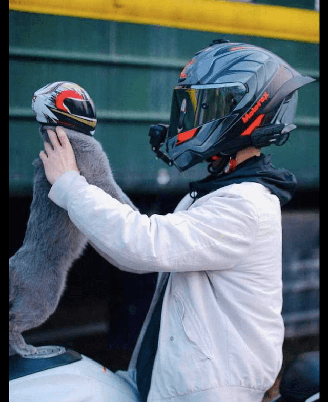 猫戴头盔照片高清图片