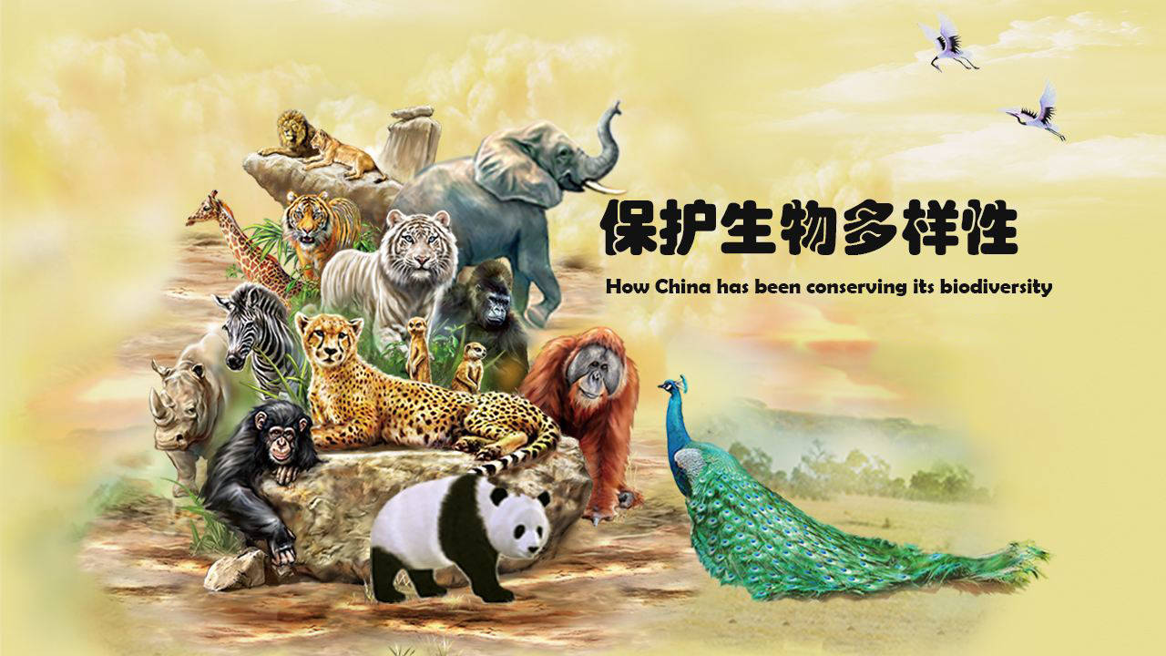 cr益起同行cr与生物多样性保护