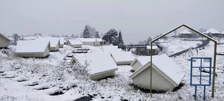 美得|花溪的绝美雪景，让您“醉”在如梦如幻的“人间仙境”里