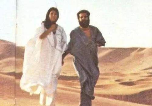 三毛作品排行_第三届三毛散文奖昨晚颁奖26部(篇)作品脱颖而出成功“上榜”(2)