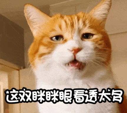 形态宋慧乔最新烟熏妆造型,姐姐好飒!