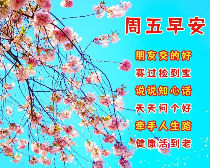 周五最美早上好祝福语唯美精致触动人心