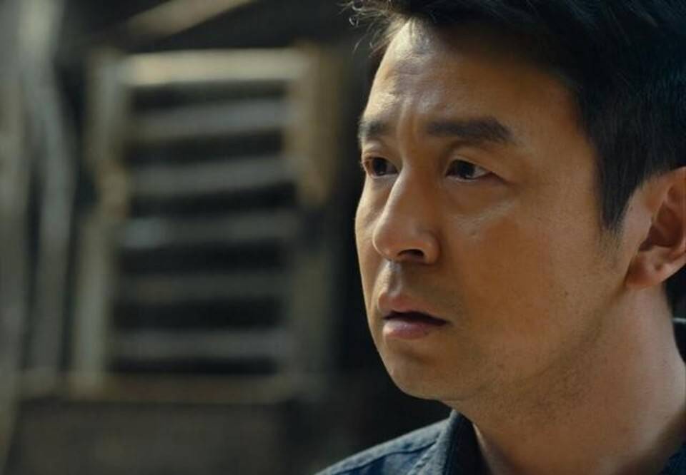 《人世间》（全40集全免费加长版）在线完整观看【1080P】中字已完结 - 小轻秀场